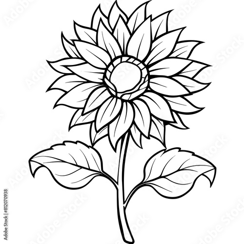 Sunflower outline coloring book page line art drawing vector illustration for children and adults