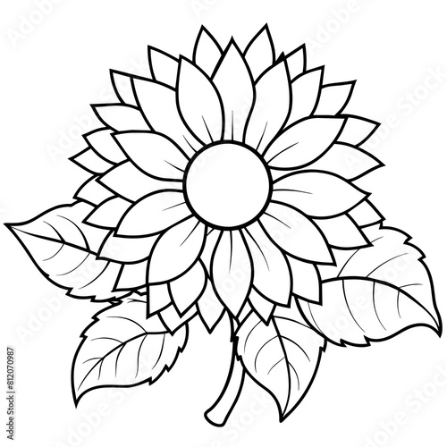 Sunflower outline coloring book page line art drawing vector illustration for children and adults