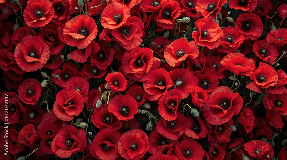 Background of red poppies. View from above. AI generative. Background of red poppies. View from above. AI generative.