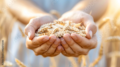 a logo for touching and heartwarming concept The wheat grows again, hope © Tatiana