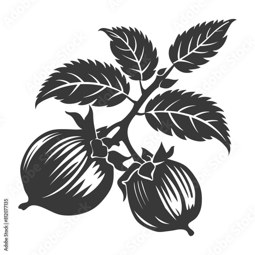 Silhouette Hazelnut fruit black color only