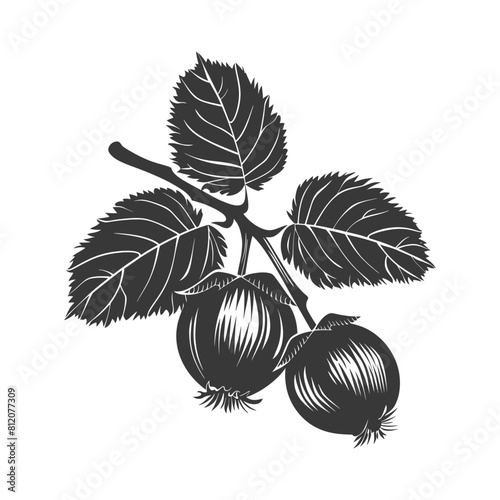Silhouette Hazelnut fruit black color only