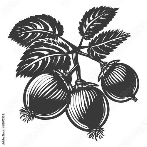 Silhouette Hazelnut fruit black color only