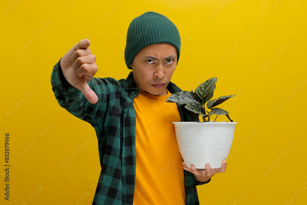 Asian man frowns slightly while holding a Pin-stripe Calathea (Calathea ornata) houseplant in a white pot. He gives a thumbs down gesture, suggesting something isn't quite right with the plant's care Asian man frowns slightly while holding a Pin-stripe Calathea (Calathea ornata) houseplant in a white pot. He gives a thumbs down gesture, suggesting something isn't quite right with the plant's care