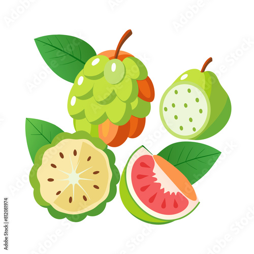 Cherimoyas fruit illustration isolated on white background