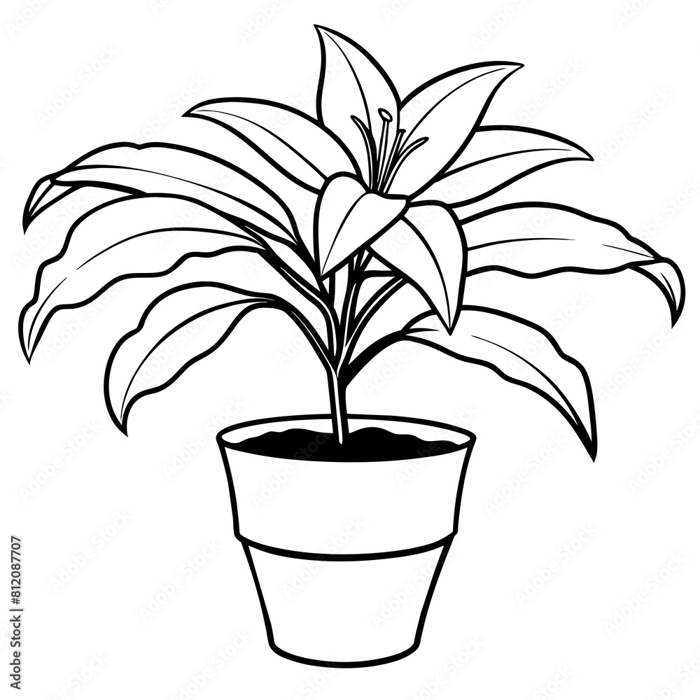 Lily flower outline coloring book page line art drawing vector illustration for children and adults Lily flower outline coloring book page line art drawing vector illustration for children and adults