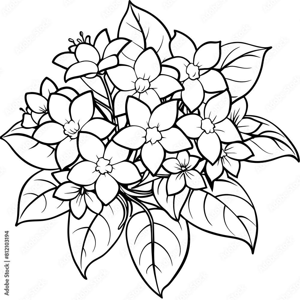 Jasmine flower outline coloring book page line art drawing vector illustration for children and adults