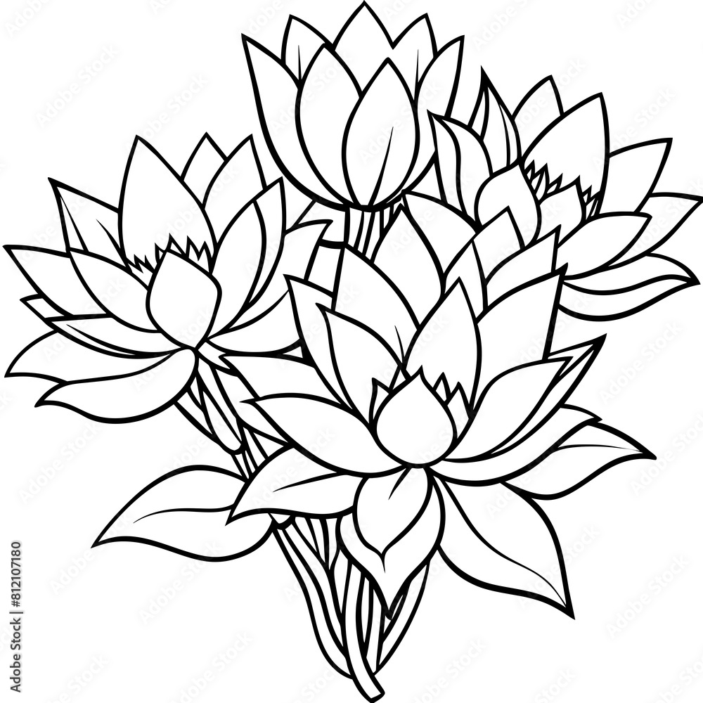 Lotus flower outline coloring book page line art drawing vector illustration for children and adults Lotus flower outline coloring book page line art drawing vector illustration for children and adults