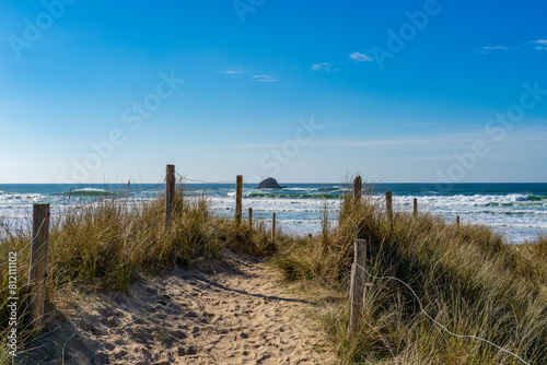 Chemin serpentant    travers les dunes  bord   de rondins en bois et de hautes herbes  offrant une vue panoramique sur l   le de Gu  n  ron et la mer d Iroise sur la presqu   le de Crozon.