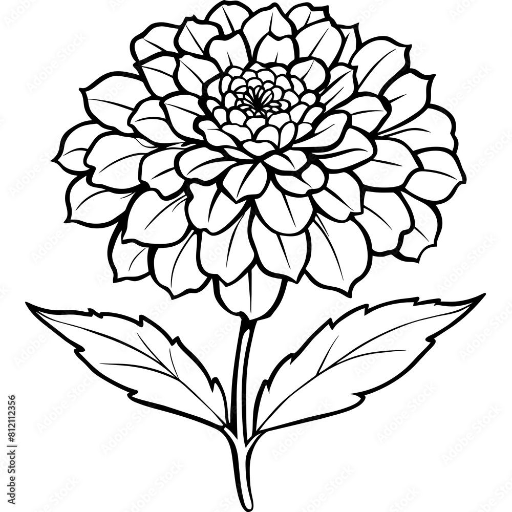 Marigold flower outline coloring book page line art drawing vector illustration for children and adults Marigold flower outline coloring book page line art drawing vector illustration for children and adults