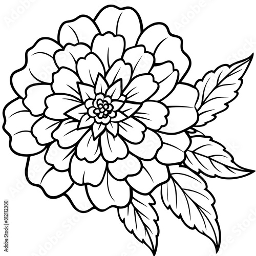 Marigold flower outline coloring book page line art drawing vector illustration for children and adults