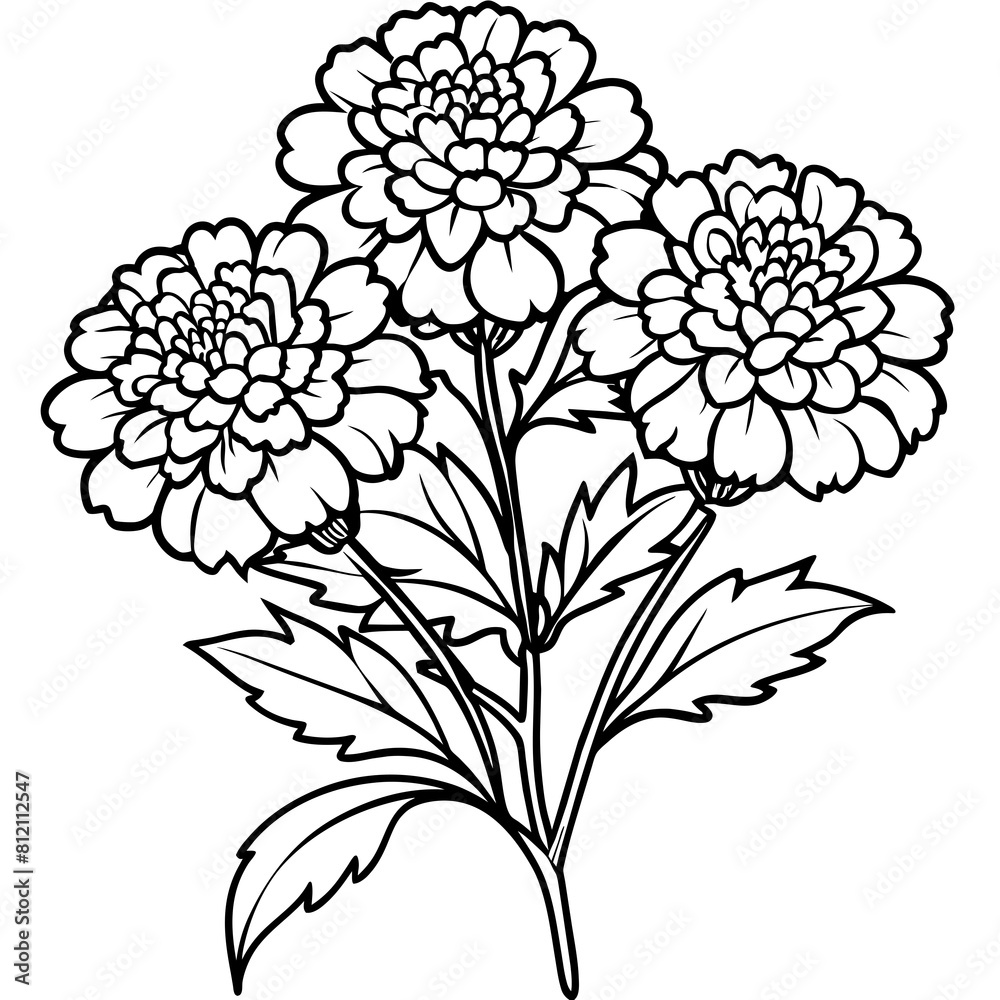 Fototapeta premium Marigold flower outline coloring book page line art drawing vector illustration for children and adults