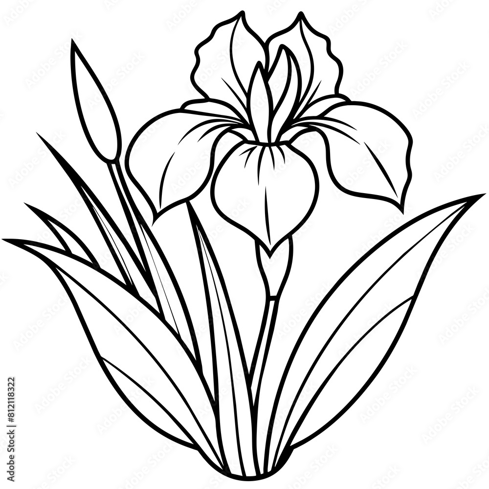 Iris flower outline coloring book page line art drawing vector illustration for children and adults Iris flower outline coloring book page line art drawing vector illustration for children and adults