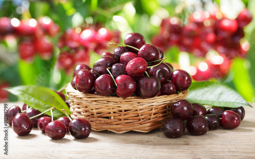 bowl of fresh cherries on wooden table in orchard garden © Nitr