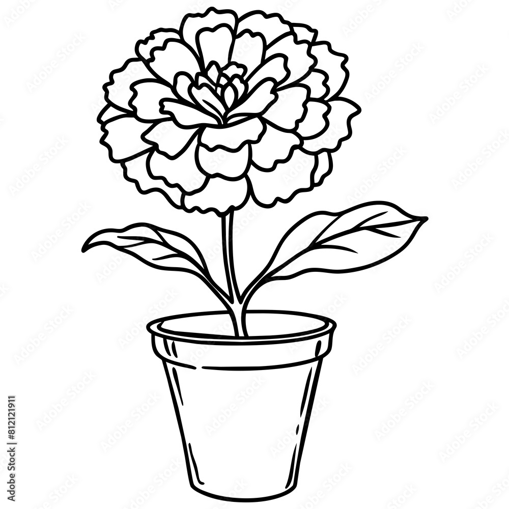 Carnation flower outline coloring book page line art drawing vector illustration for children and adults
