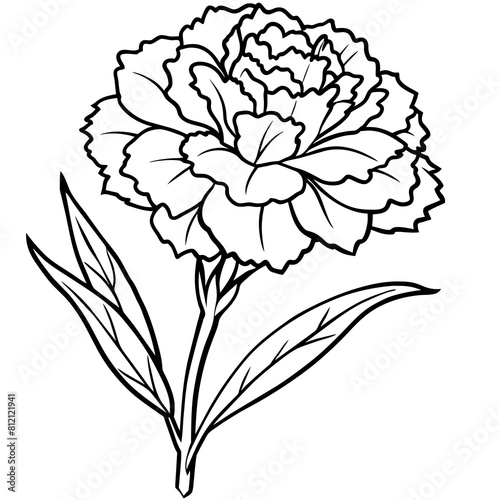 Carnation flower outline coloring book page line art drawing vector illustration for children and adults