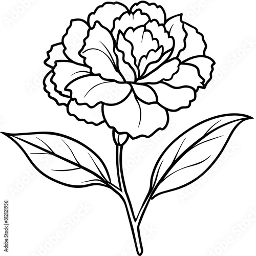 Carnation flower outline coloring book page line art drawing vector illustration for children and adults