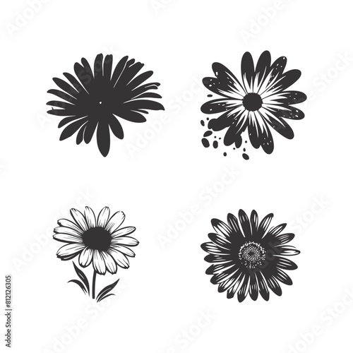  Beautiful black flowers. Vector illustration. stylized icon. 