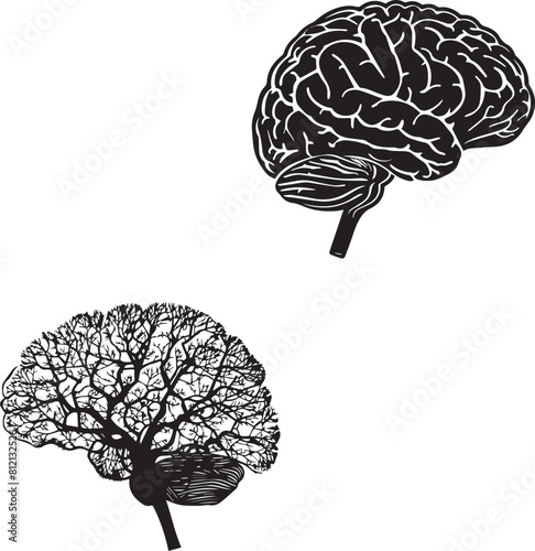 Human Brain black and white