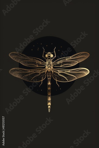 Golden dragonfly logo illustration on black background. Emblem, icon for company or sport team branding