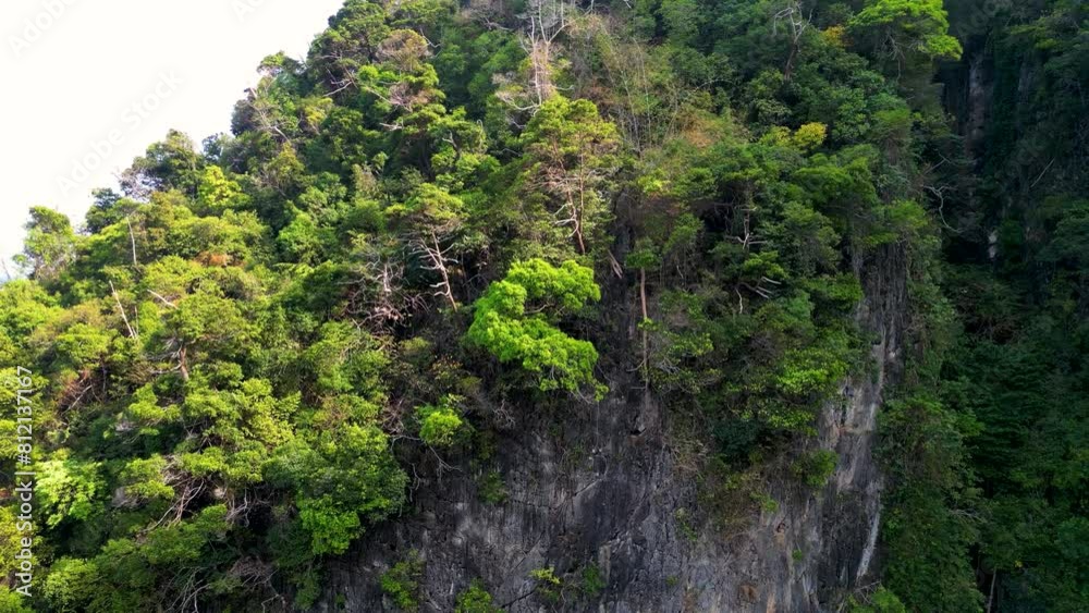 Lush Coastal Cliffs of Phi Phi Islands Overlooking the Ocean Lush Coastal Cliffs of Phi Phi Islands Overlooking the Ocean