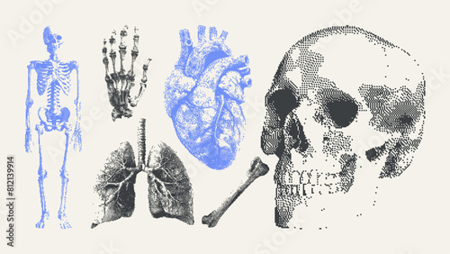 Abstract Futuristic Bitmap For Design. Skull, heart, lungs, bones, hand skeleton, human skeleton. Brutalism Y2K elements with stippling grunge effect in a trendy dotted style. 