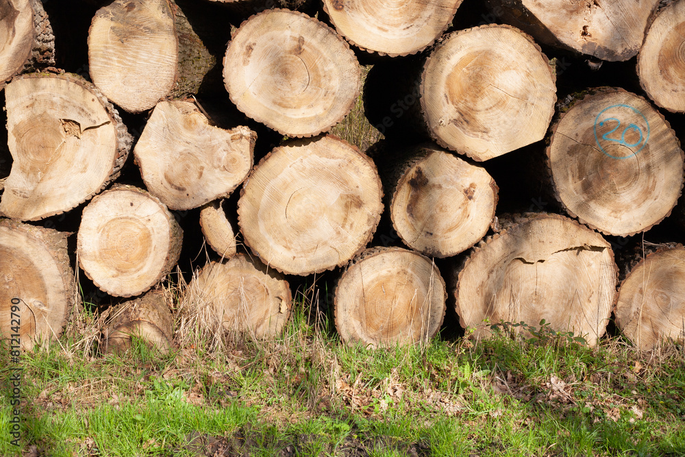 Pile of wood logs. Natural wooden background with closeup of clean cut of chopped firewood logs. Pile of wood logs. Natural wooden background with closeup of clean cut of chopped firewood logs.