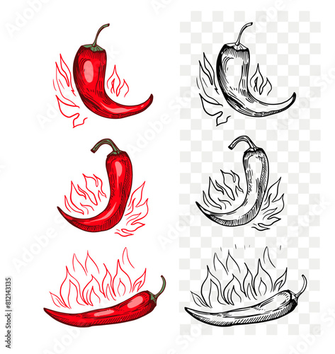Hot pepper, sketch, engraving style. Hand drawn set, vector illustration, black outline
