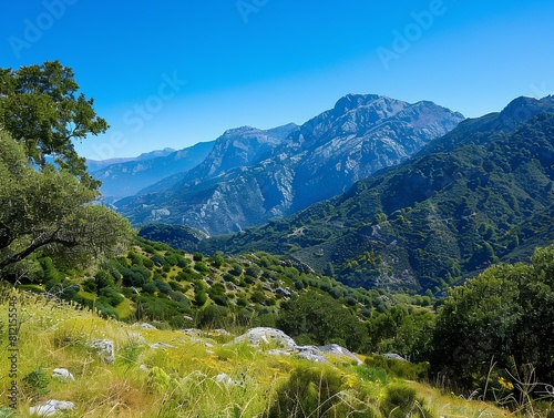 The image shows a beautiful mountain landscape with green trees and a blue sky.
