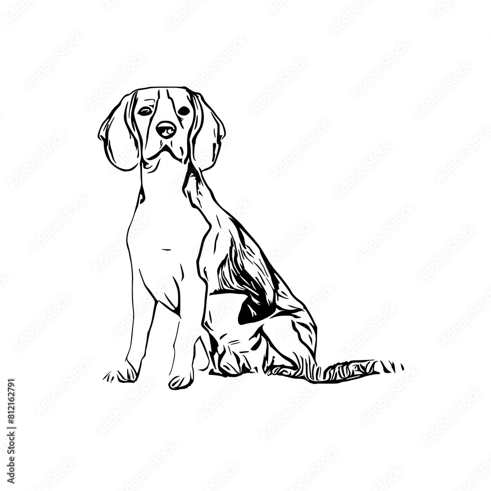 Fototapeta premium sketch of a dog with a transparent background