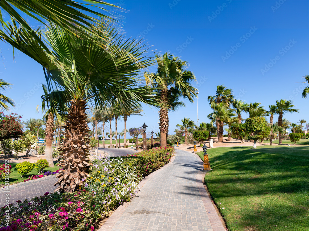 Beautiful landscaping with palm trees, cacti and flowering shrubs on the territory of a modern hotel in Hurghada, Egypt.	
