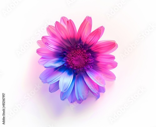 flower on a light background.