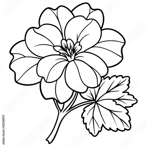 Geranium flower outline coloring book page line art drawing vector illustration for children and adults