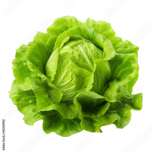 Wallpaper Mural Fresh green lettuce isolated on black background Torontodigital.ca