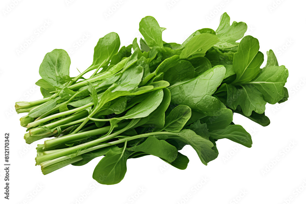 Fresh green salad leaves. Lettuce. Organic healthy food. Vegan salad ingredient. Fresh green salad leaves. Lettuce. Organic healthy food. Vegan salad ingredient.