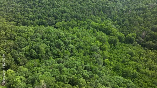 aerial drone view over kentucky forest photo