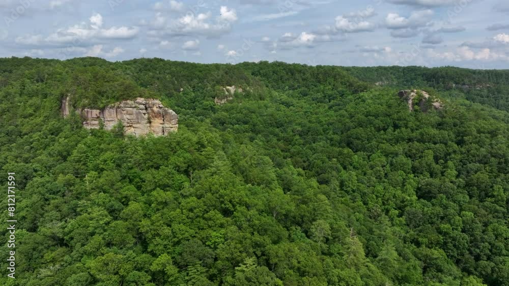 aerial drone view over kentucky forest aerial drone view over kentucky forest