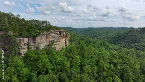 aerial drone view over kentucky forest