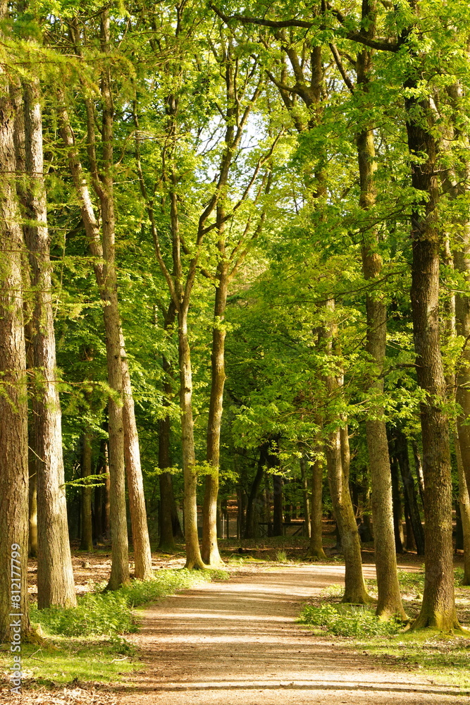Vibrant and tranquil nature in Denmark Vibrant and tranquil nature in Denmark