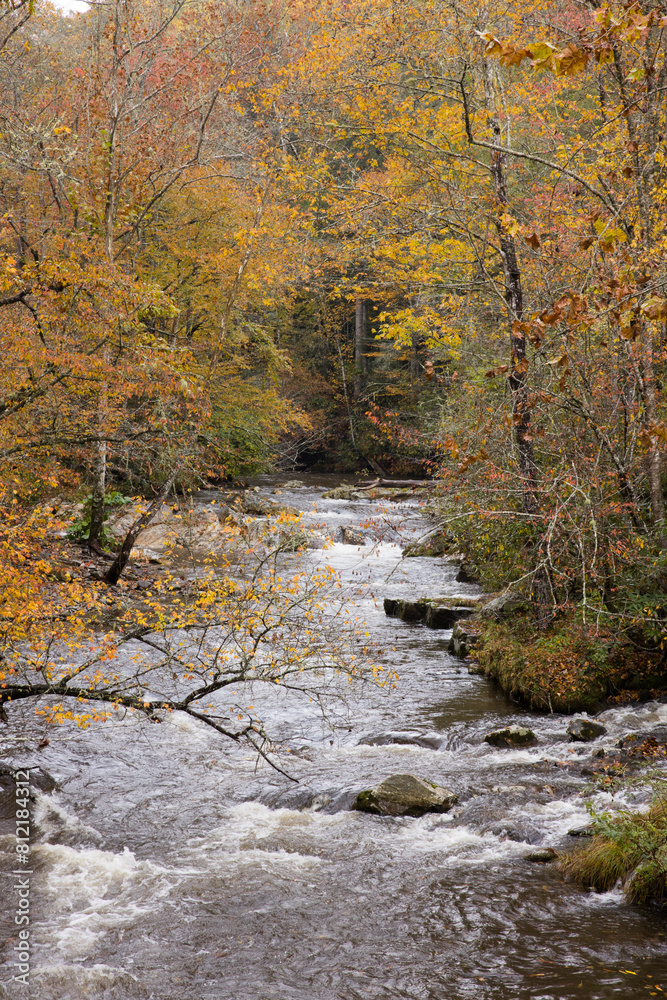 River running through the Autumn woods River running through the Autumn woods