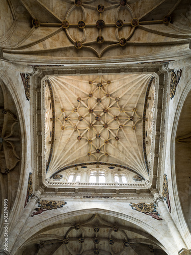 Vaulted ceiling of the Convento de San Esteban photo