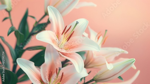 A single white flower with pink petals is the main focus of the image