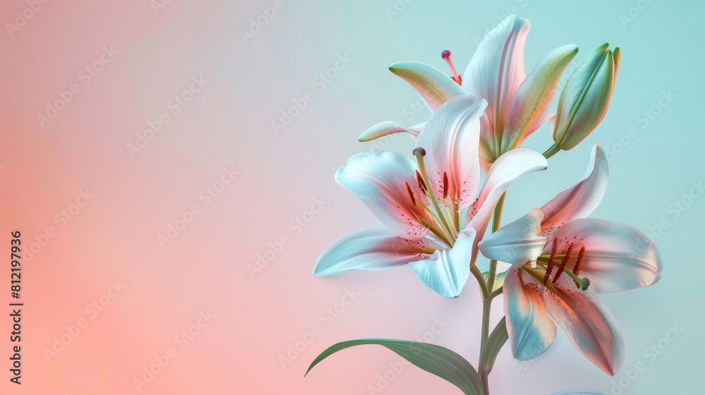 Fototapeta premium A bouquet of pink flowers with a blue background