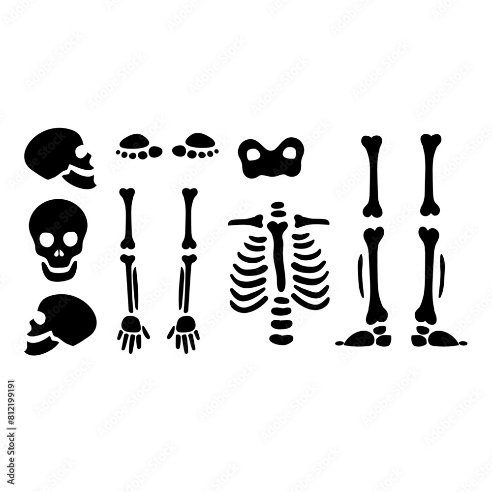 Skeleton SVG, Skeleton parts Svg, Skeleton Png, Skeleton Cut File ...