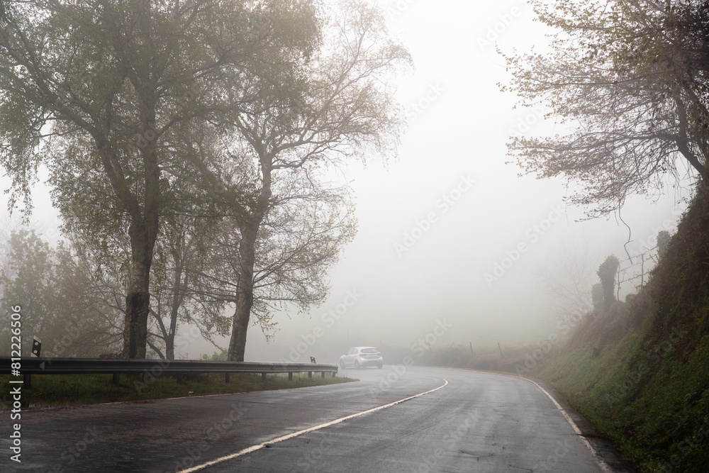 Fototapeta premium Section of national road 103, N103, between the municipalities of Viana do Castelo and Bragança, on a very cloudy, foggy day. Silhouette of trees.