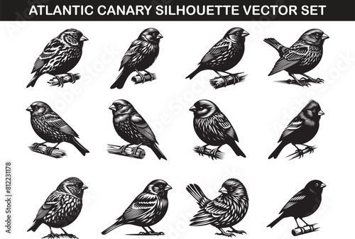 Atlantic Canary Bird Silhouette Vector Illustration Set