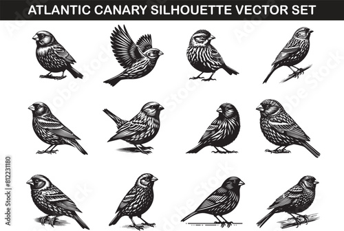 Atlantic Canary Bird Silhouette Vector Illustration Set