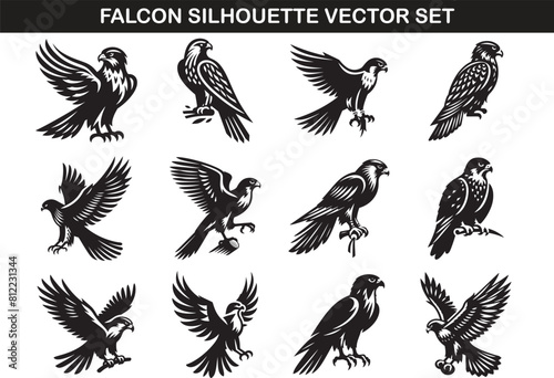 Falcon Bird Silhouette Vector Illustration Set