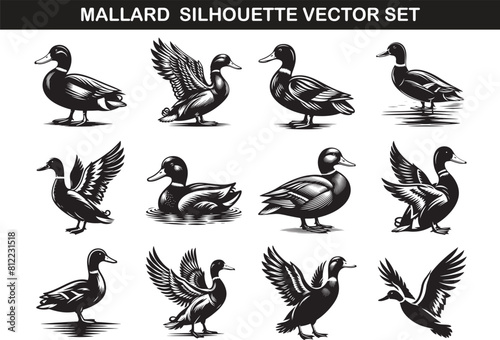 Mallard Bird Silhouette Vector Illustration Set