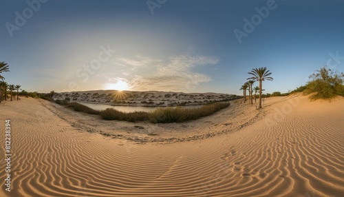 oasis at sunset in a sandy desert environment map hdri equidistant projection spherical panorama panorama 360 photo